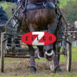 Image Atel Attelage, Véhicules Hippomobiles