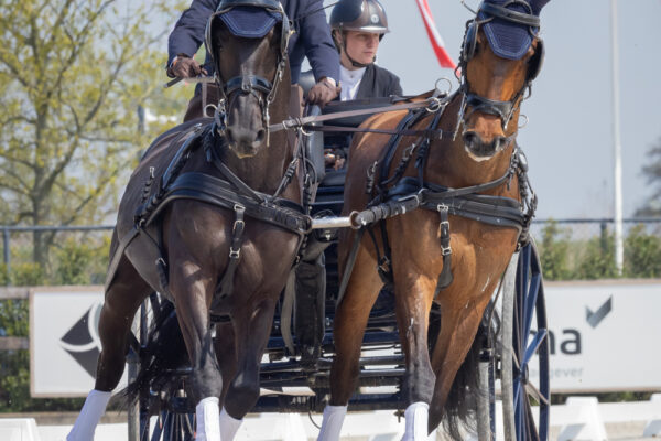 Image Atel Attelage, Véhicules Hippomobiles