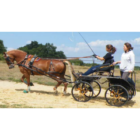 Image Atel Attelage, Véhicules Hippomobiles