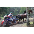 Image Atel Attelage, Véhicules Hippomobiles